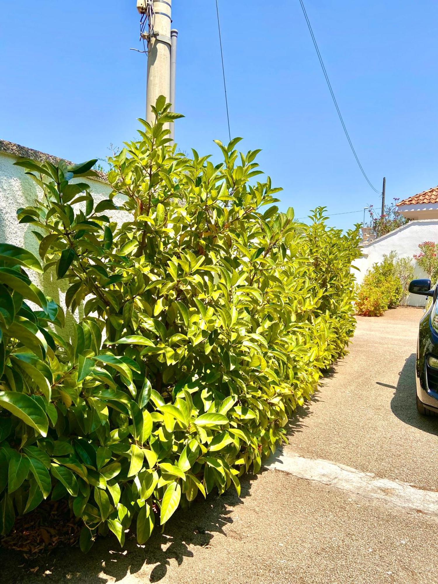 بورتو سيساريو B&B Costa Azzurra المظهر الخارجي الصورة